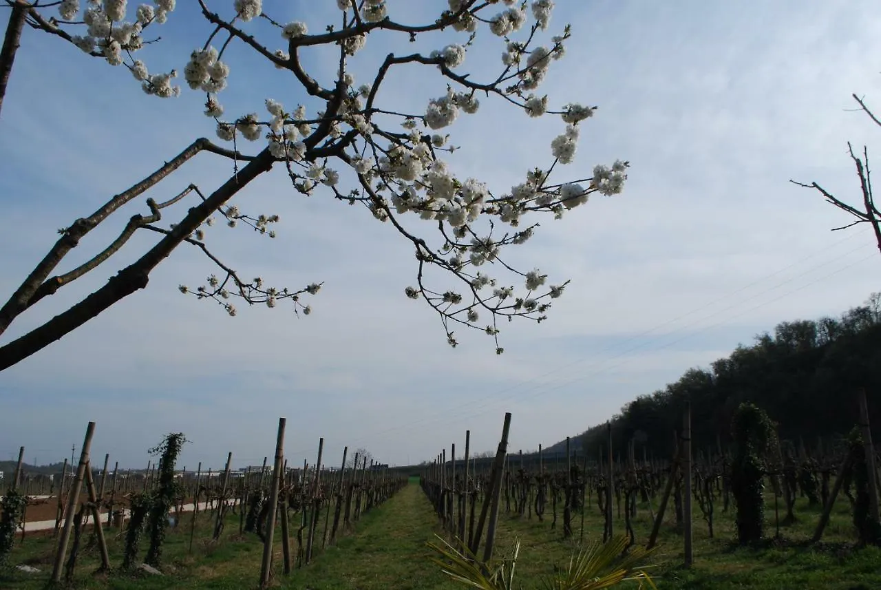 Agriturismo Il Rovere Lonato del Garda